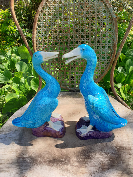 Statuettes canards en porcelaine émaillée bleu turquoise