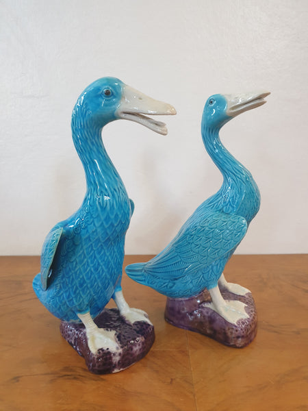 Statuettes canards en porcelaine émaillée bleu turquoise